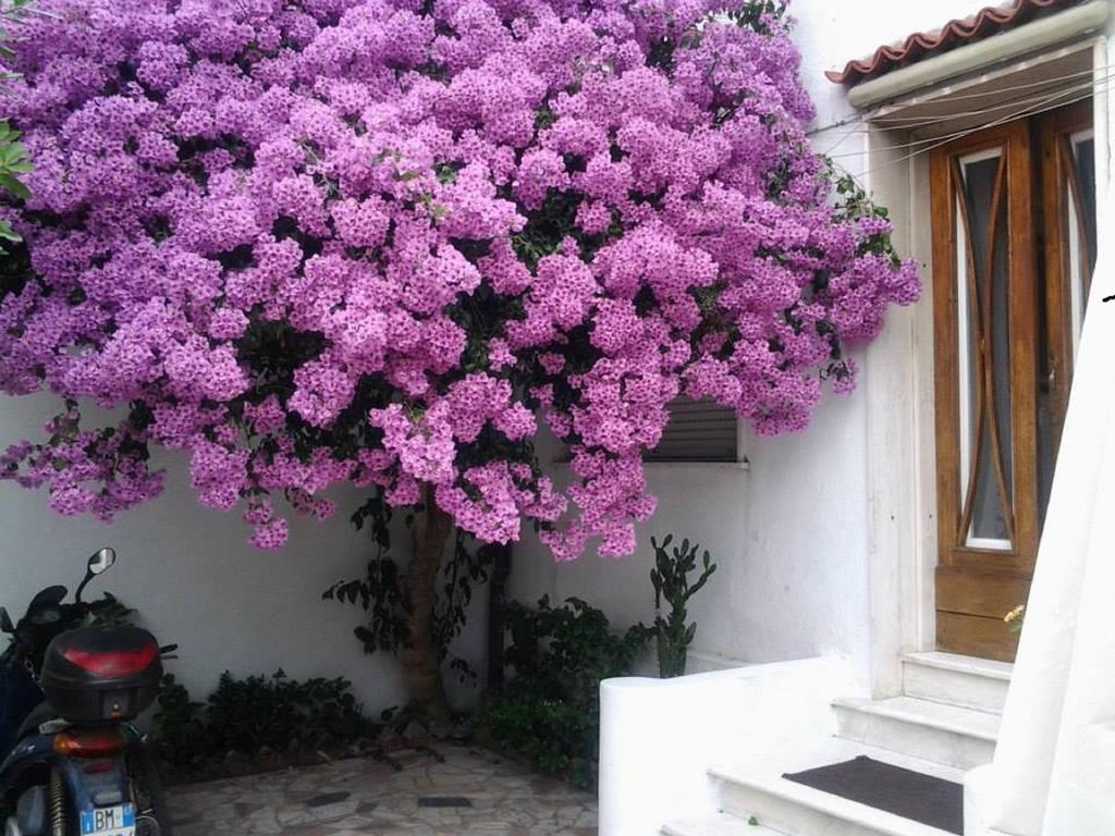 Villa Lea Viareggio Chambre photo